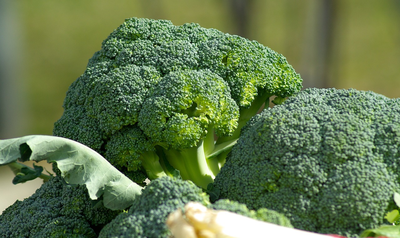 Jak zmrazit brokolici?